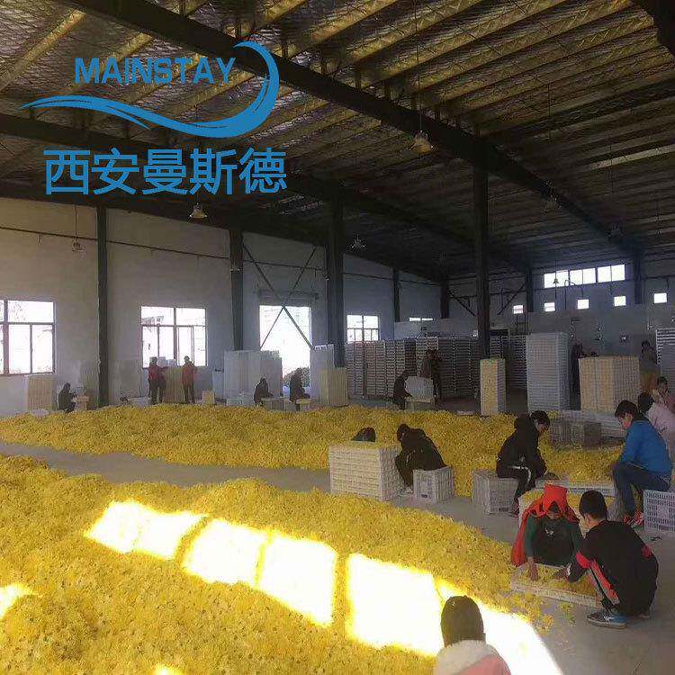空气能金丝皇菊烘干机 曼斯德烘干设备全自动烘干房