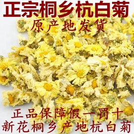 健康花茶新花正宗桐乡特产杭白菊，朵花产胎菊，菊花茶250g500g朵杭菊