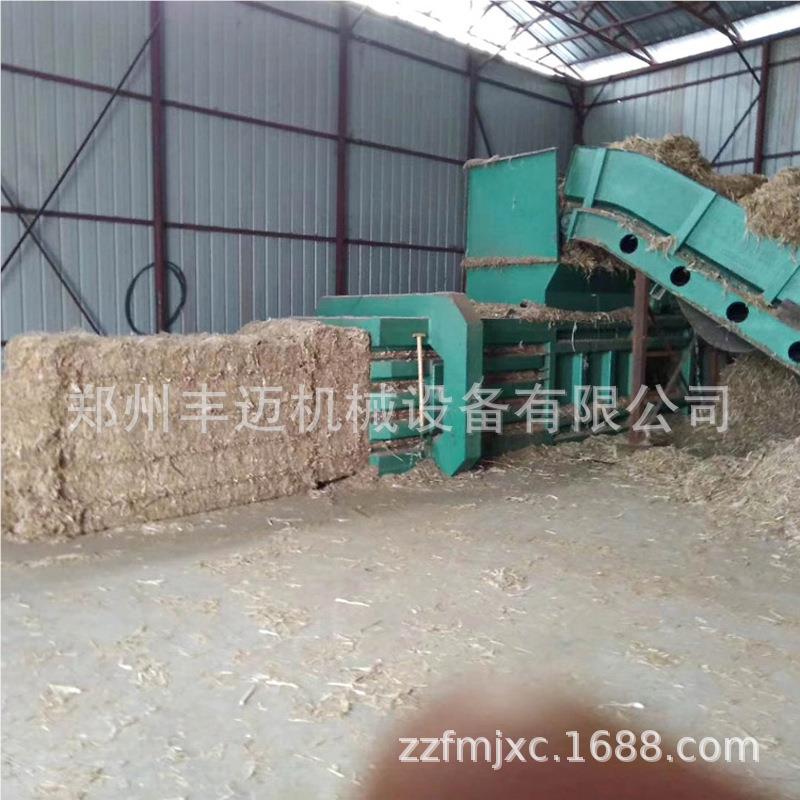 卧式废皮打包机 全自FAH动输送纸机进料压包机胎 旧轮压废块打捆