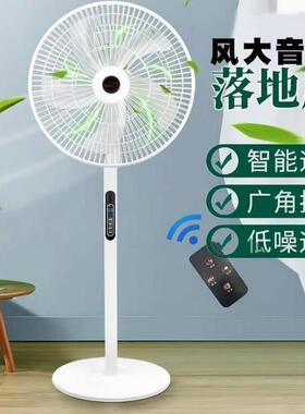新款2026电风扇节能落地式遥控家用静音落地扇摇头大风力立式