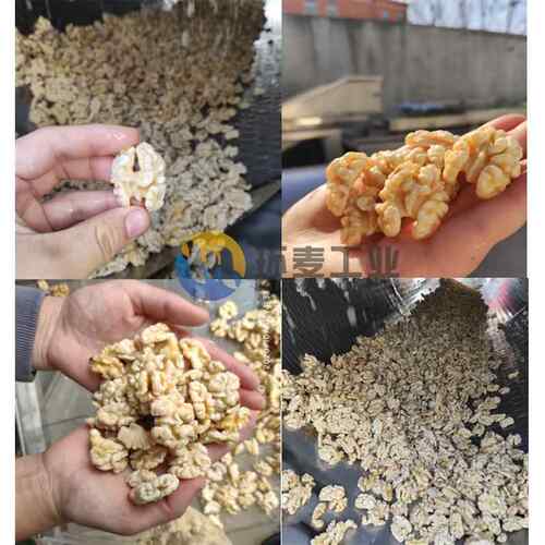 水洗式核桃仁去皮机物理脱皮核桃仁加工设备华邦琥珀核桃机器