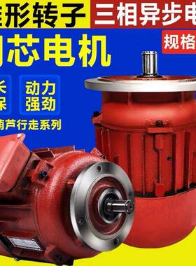 ZDM22-41.5W锥形转子三相异步电动机