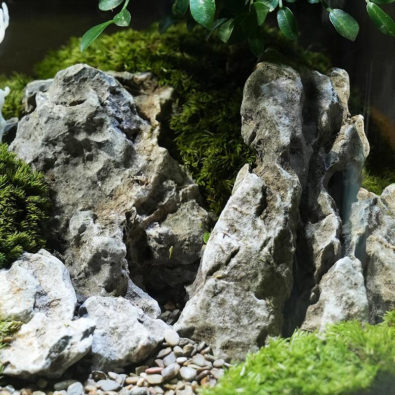 【白鹿青崖】创意苔藓微景观解压治愈摆件生态瓶办公室桌面生态缸图片