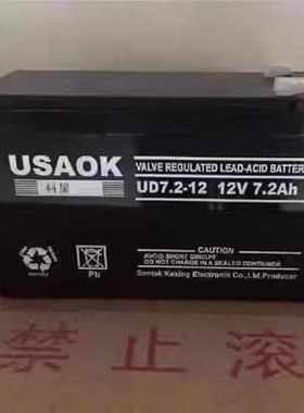 USAOK科星蓄电池UD12V7A17A24A38A65A100A120A150A200AH直流屏UPS