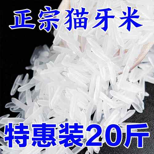【超划算】绿宝贡猫牙香米煮饭软糯长粒香大米优质大米