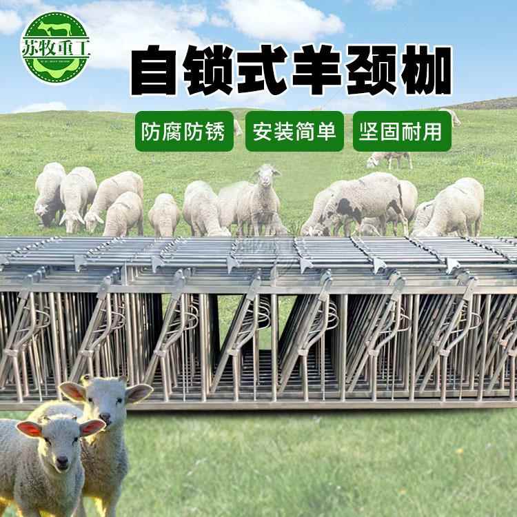畜牧设备热镀锌材质加厚防腐蚀自锁式羊颈夹3米7位饲喂