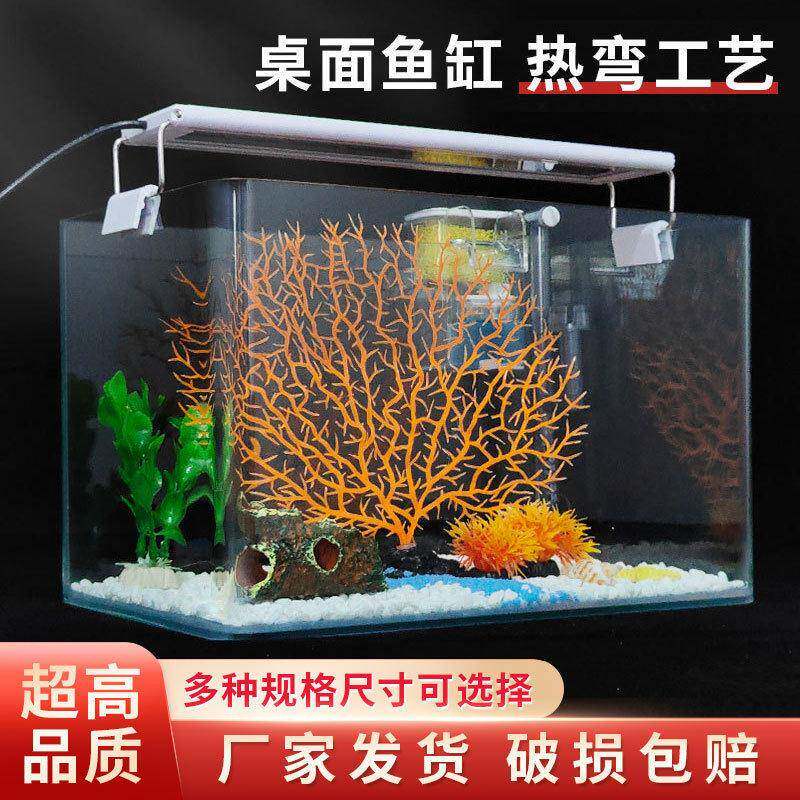 生态鱼缸家用家庭客厅热弯清玻璃水族箱中小型桌面龟缸造景套餐