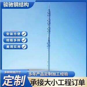 厂家生产单管塔独管塔热镀锌钢结构抗风化钢管铁塔单管通信信号塔