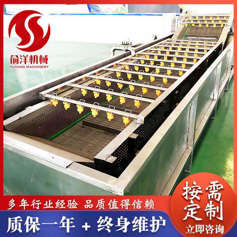 厂家供应果蔬气泡清洗机蓝莓超声波清洗机诸城俞洋