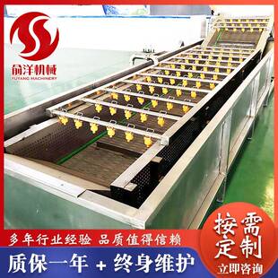 全自动果蔬气泡清洗机海鲜苹果清洗机玉米大姜净菜成套设备