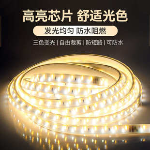 led灯带七彩变色双排红蓝单排全铜5730灯带防水超亮120珠暖光