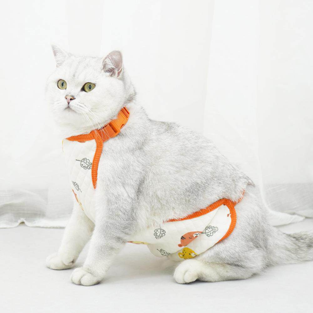 宠它防舔术后猫咪绝育服纯棉母猫断奶服秋冬宠物保暖肚兜无毛猫