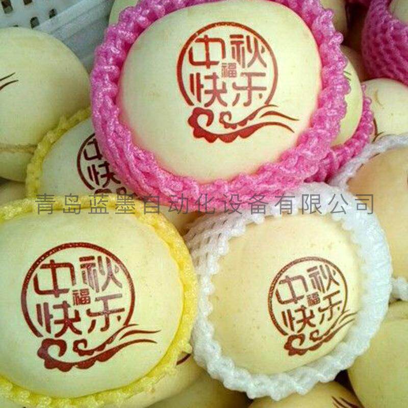 厂家苹果印字机苹果打印机,水果打印机,圣诞果打印机