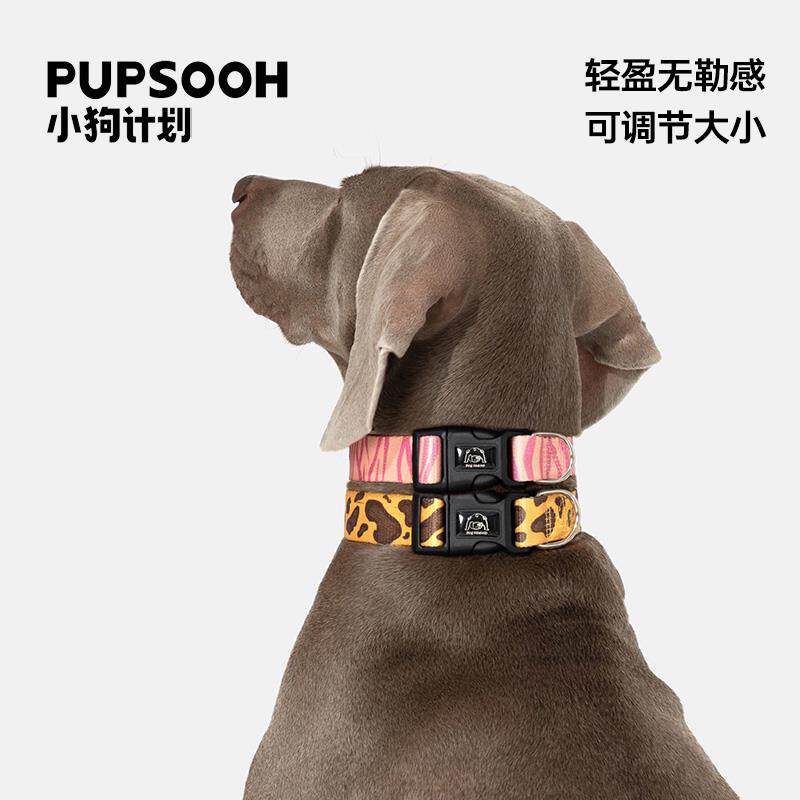 小狗计画 划狗狗项圈中型犬宠物用品外出颈圈调节户外脖套高级狗