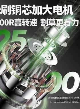 菲博奥草草修VEC坪机电动手推式坪剪机小型家用园林剪草机插电割