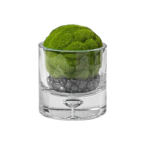 艺贝子现代轻奢仿真绿植苔藓玻璃小盆栽桌面软装饰品摆件餐桌饰品