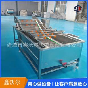 黑鱼流片PEW鼓泡清洗设备 清商用巴水沙鱼去血水机器 全自动鳕鱼