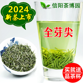 信阳毛尖2024新茶明前特级嫩芽散装茶叶绿茶浓香型手工茶春茶250g