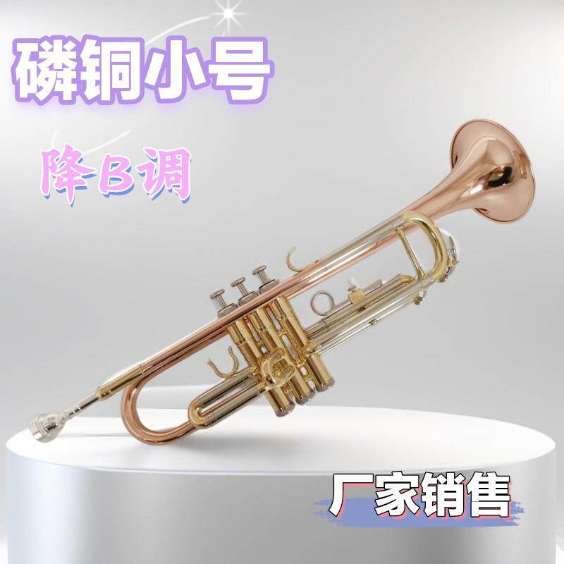 厂家宫泽风学生初学降B调小号乐器磷铜西洋铜管成人乐队演奏