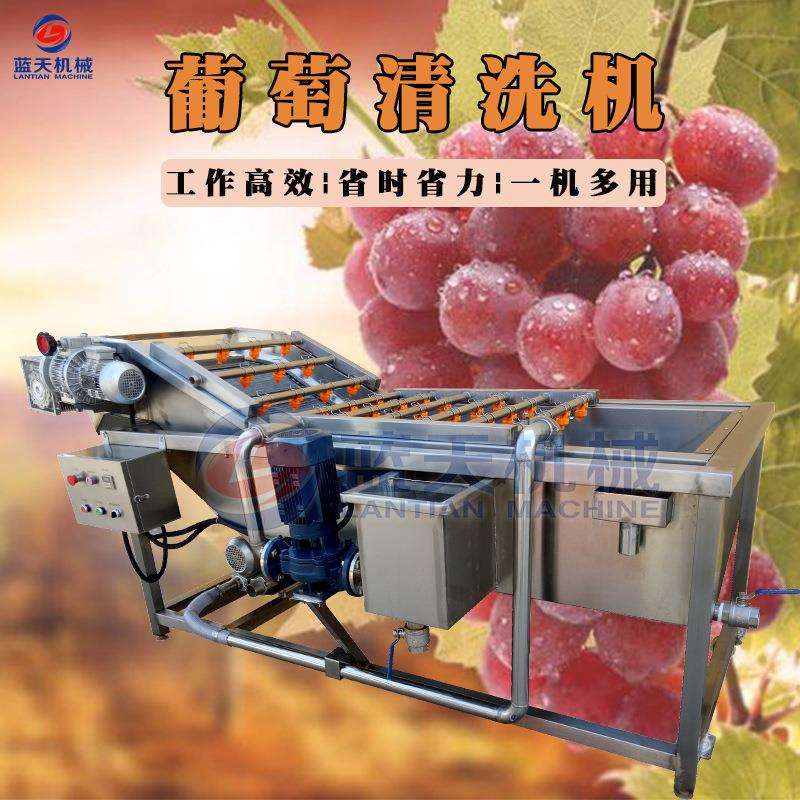 新型葡萄清洗机 气泡式菩提子清洗机 蓝莓果蔬喷淋式清洗设备304