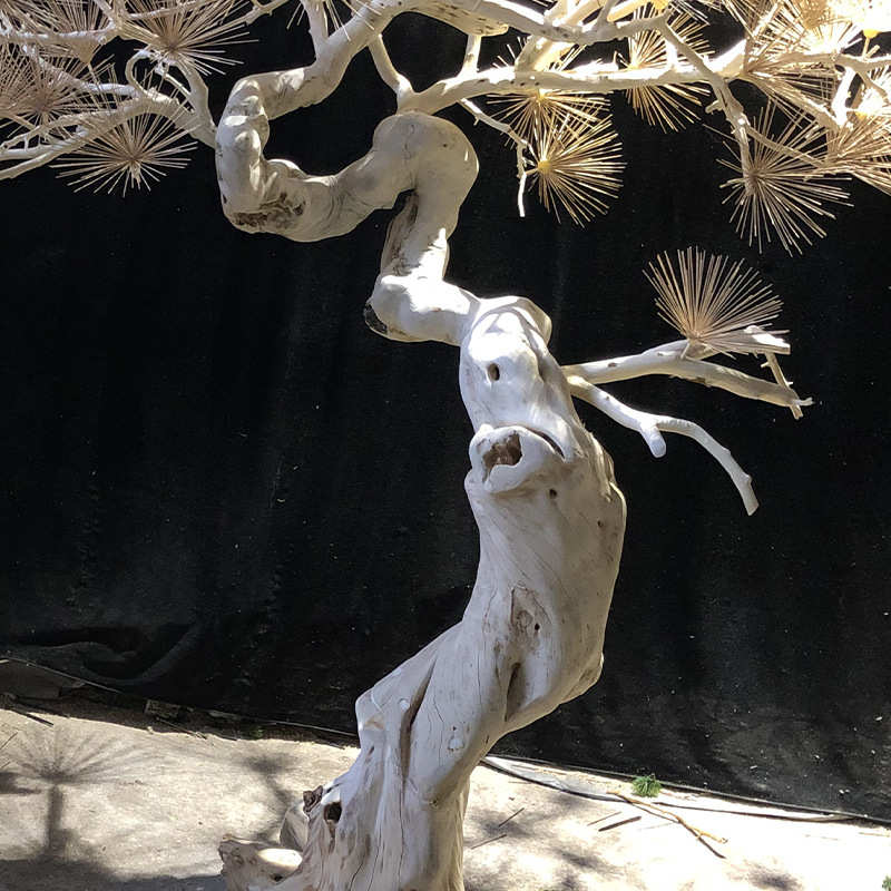 盆景树枝实木雕刻造型树 仿真大型树木摆件 松树装饰造景观树木