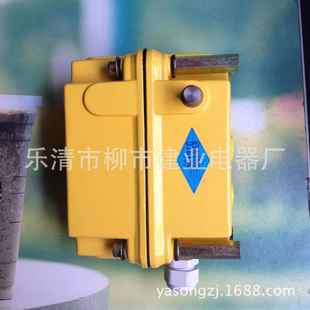 DXZ多功能行程限位器1 274 210 960