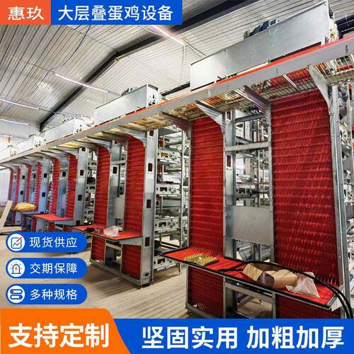 全自动大层叠蛋鸡笼自动化养殖笼具镀锌养鸡场蛋鸡设备大型电动