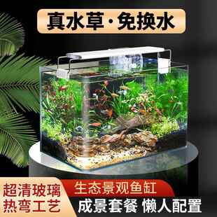 鱼缸造景全套热弯玻璃缸客厅小型桌面免换水生态草缸迷你金鱼缸