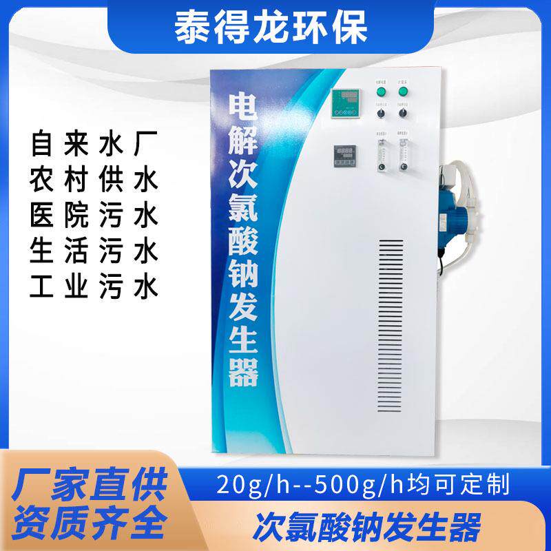 50g电解法次氯酸钠发生器 电解盐水 自来水厂饮用水消毒设备