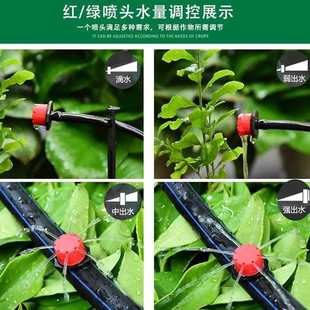 自动浇花可调大小滴头果树滴灌喷灌灌溉设备微喷头8孔小红帽滴头