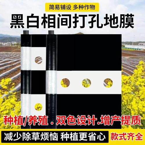 农用加厚黑白相间地膜单道白双道白保温保湿除草种地种菜大棚保暖