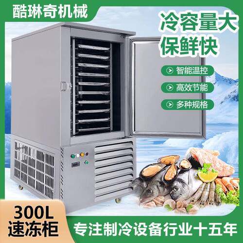 *厂家直销定制海参海鲜速冻机商用厨房水饺虾饺包子速冻机冷冻柜