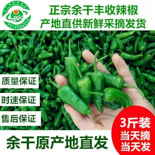 包邮3斤江西特产正宗余干小辣椒新鲜丰收枫树辣椒土辣椒青椒现摘