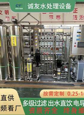 RO双级反渗透设备水处理直饮水离子水超纯水电子化工EDI净水设备