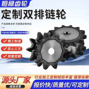 双排链轮45钢淬火双驱链轮10齿以上定制4分5分6分16A等大节距链轮