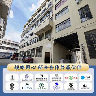 安翔五星级酒店宾馆酒店布草床上用品 全棉防羽布羽丝枕 枕芯