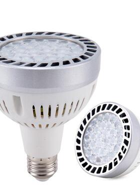 跨境PAR38水下泳池灯 120V亚马逊LED水下嵌入式E26泳池灯替换光源