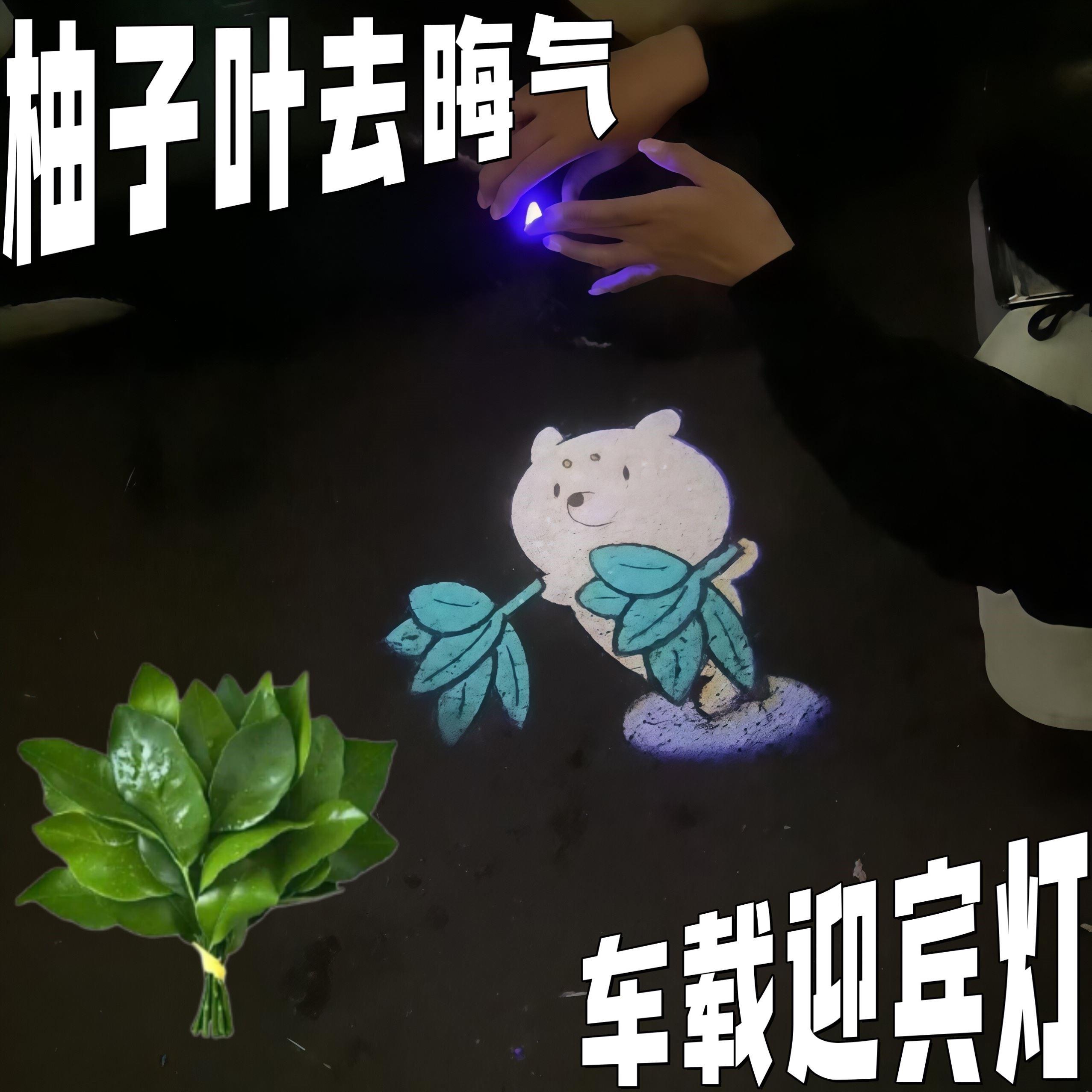 柚子叶车载投影迎宾灯汽车气氛灯电动车机车装饰灯动态图案灯