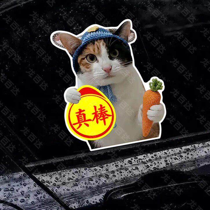 罗卜纸巾猫咪车贴磁铁中手真棒搞笑实习表情包创意新手司机警示贴