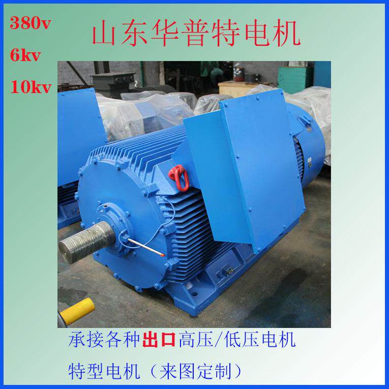 出口欧美Y3/Y2钢壳焊接铸铁710w高压三相异步电机3.3v6v山东