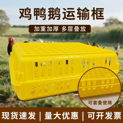 塑胶周转筐鸡笼鸭笼运输筐鸡鸭周转箱鸽兔运输笼加厚长方形周转框