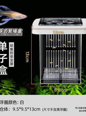 热带鱼鱼缸生小鱼隔离鱼缸隔离网盒繁殖饲养孵化透明孔雀鱼网箱