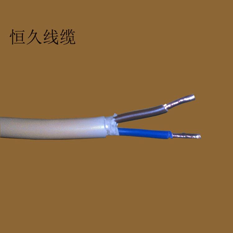 RVV2X1平方电缆线2芯1平方灯具电器电源线圆形软线纯铜线