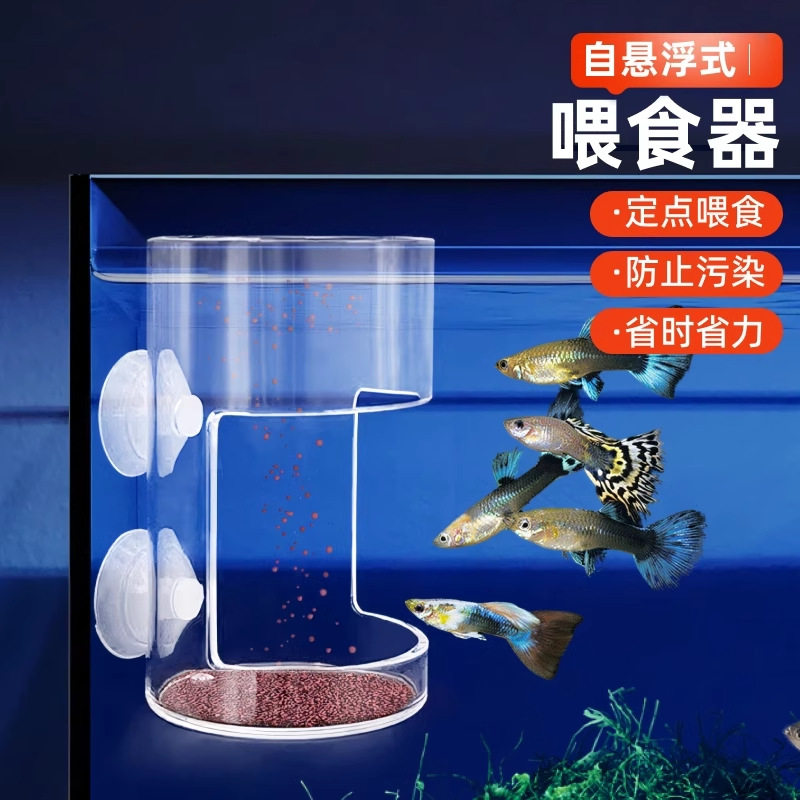 孔雀鱼繁殖专用鱼缸分隔鱼缸隔离产房活体网鱼密网大号实用乌龟苗图片