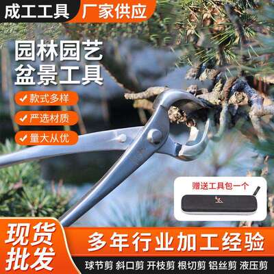不锈钢球节剪盆景园艺造型工具修枝剪树瘤钳枝条花枝修剪钳球形剪