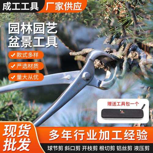 不锈钢球节剪盆景园艺造型工具修枝剪树瘤钳枝条花枝修剪钳球形剪