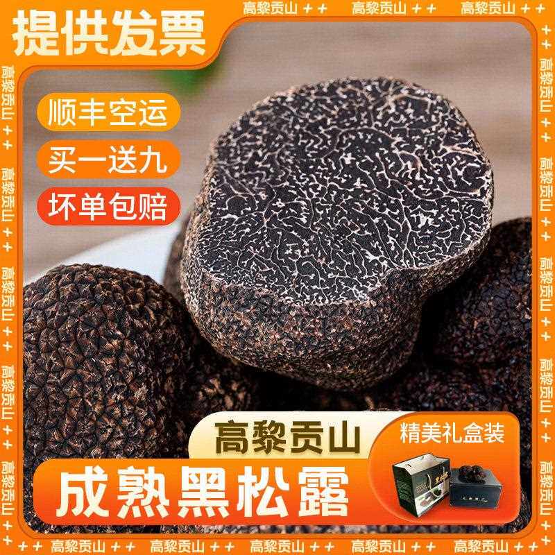 云南野生黑松露 新鲜冰冻黑松茸白松露火锅食材礼盒黑松茸