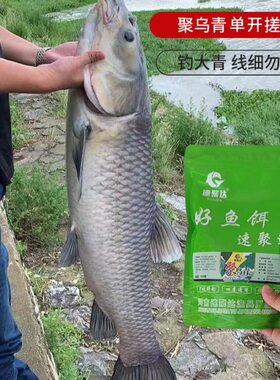 垂钓乌青青鱼饵料黑鲩钓鱼路亚饵