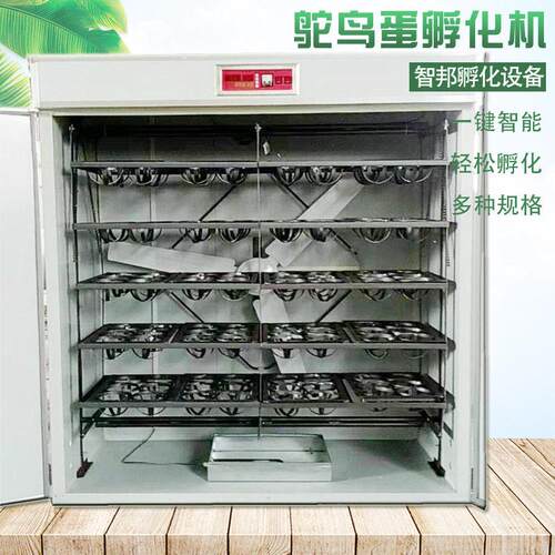 定制全动自智鸟种蛋孵能化机器鸸鹋孵鸵EDX化箱孵化器孵蛋器