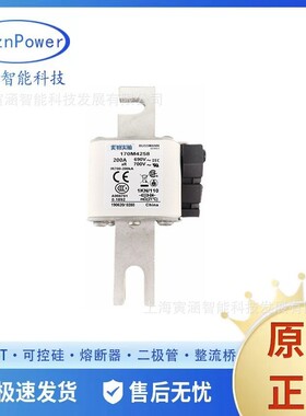 智能低压熔断器/保险丝现货 170M4258 200A 700V